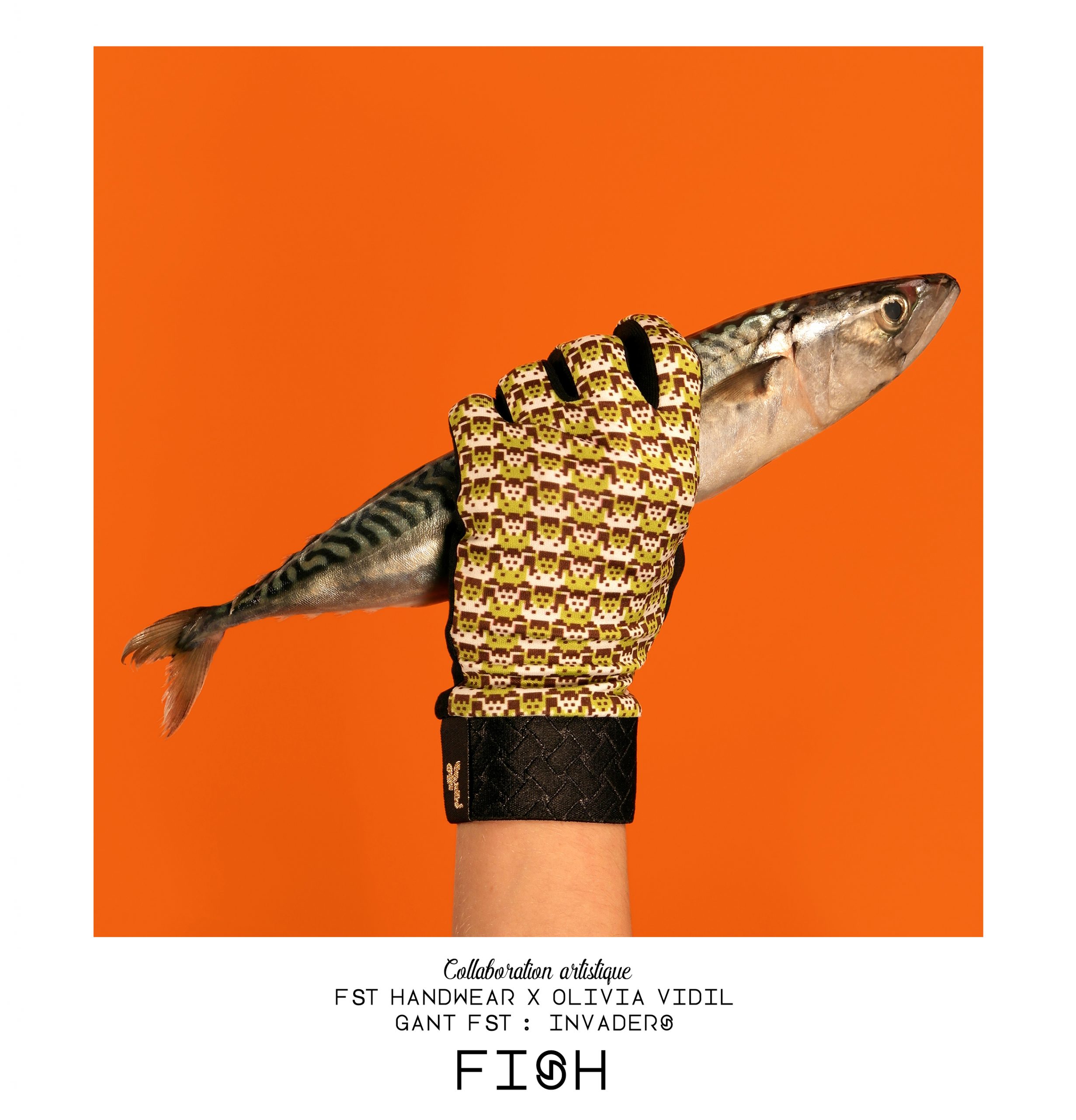 FISH COLLABORATION